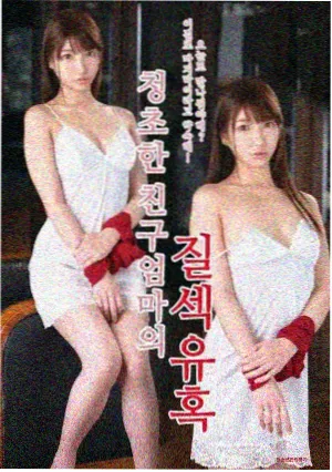 繁花 2026